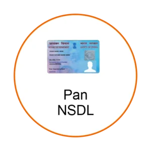 PAn-NSDL.png