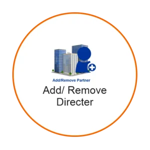 add-remove-director.png